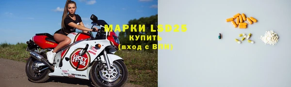 apvp Алзамай