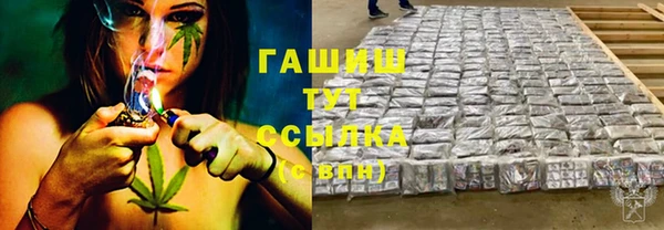 apvp Алзамай