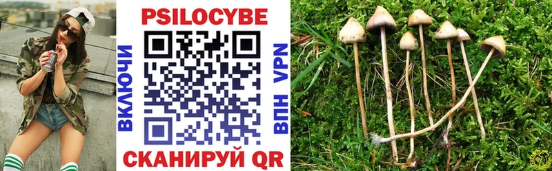 Псилоцибиновые грибы мухоморы  купить наркотики цена  Когалым 