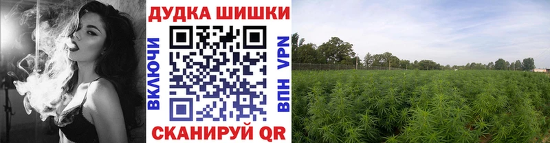 Конопля гибрид  хочу наркоту  Когалым 